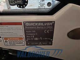 Quicksilver 755 tecniche (2)