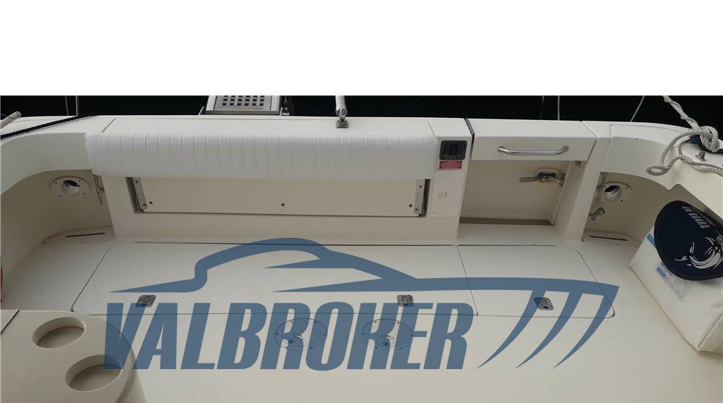 Sea ray 330 express (11)