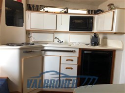 Sea Ray 370 (30)