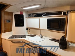 Sea Ray 370 (13)