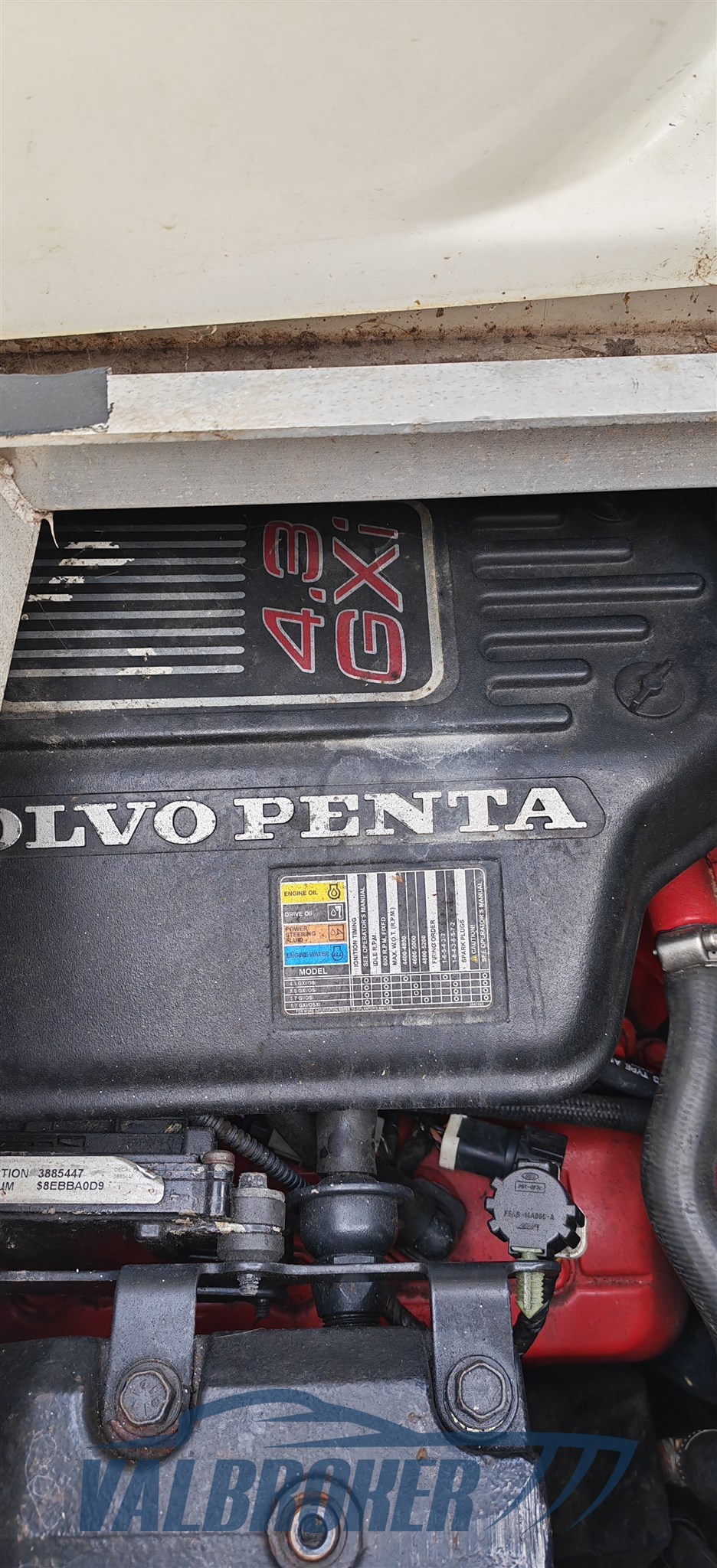 Cranchi zaffiro 28 tecniche (15)