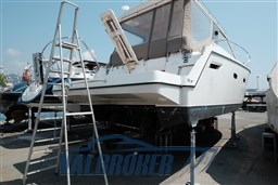 sealine sc 35 foto agosto 2024 (4)