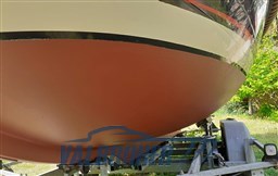 Gozzo Olandese Valbroker(20)