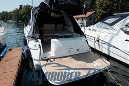 Sea ray 310 esterni (24)