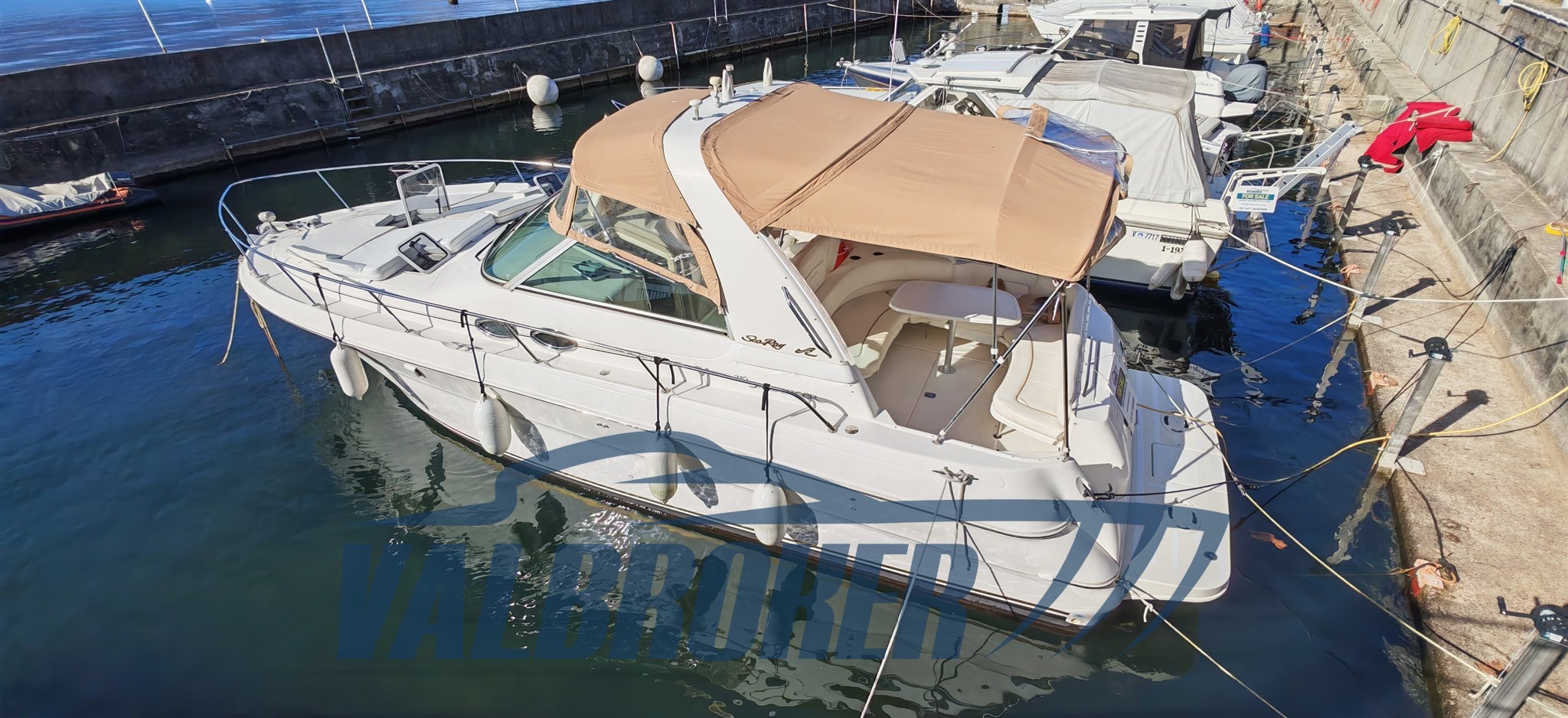 Sea ray 310 esterni (10)