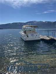 Sea ray 310 esterni valbroker (4)