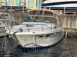 Sea ray 31 (1)