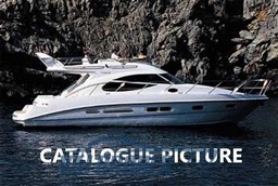 FOTO CATALOGO