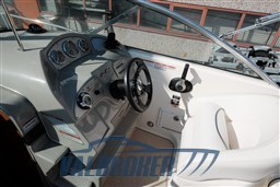 Sea Ray 255 Sundancer (60)