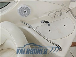 Sea Ray 315 sundancer 2002 (9)