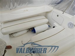 Sea Ray 315 sundancer 2002 (17)