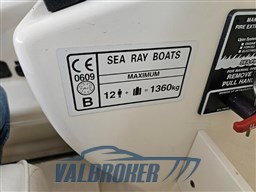 Sea Ray 315 sundancer 2002 (20)