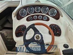 Sea Ray 315 sundancer 2002 (7)