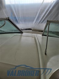 Sea Ray 315 sundancer 2002 (22)