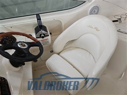 Sea Ray 315 sundancer 2002 (8)