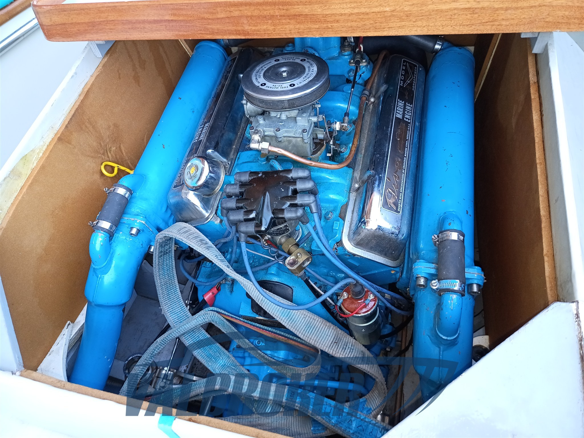 Riva Junior (3)