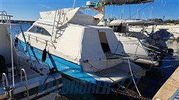 Ars mare 38 fly 1996 (14)