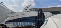 Sea Ray 315 Garda esterni (2)