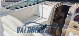 Sea Ray 315 Garda esterni (8)