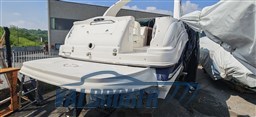 Sea Ray 315 Garda esterni (1)