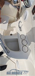 Sea Ray 315 Garda esterni (21)