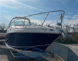 Sea ray 315 (2)