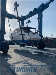 Sealine SC 39 Foto 2020 (1)