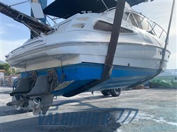 Sealine SC 39 Foto 2020 (4)
