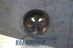 Primatist G 41.2-  2009- Valbroker (48)