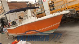 White Shark 205 (12)