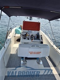 White Shark 205 (11)