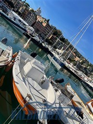 White Shark 205 (16)