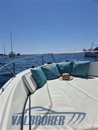 White Shark 205 (9)