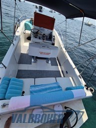 White Shark 205 (7)