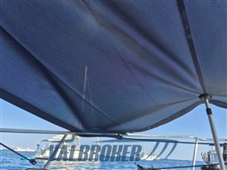 White Shark 205 (10)