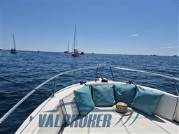 White Shark 205 (8)