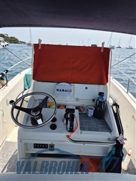 White Shark 205 (6)