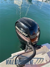 White Shark 205 (14)