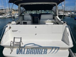 Sea Ray 370 (17)