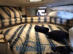 Sea Ray 370 (28)