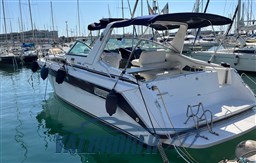 Sea Ray 370 (8)