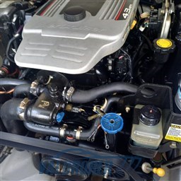 Bayliner 702 Cuddy (7)