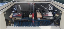motori sonic 31 (5)