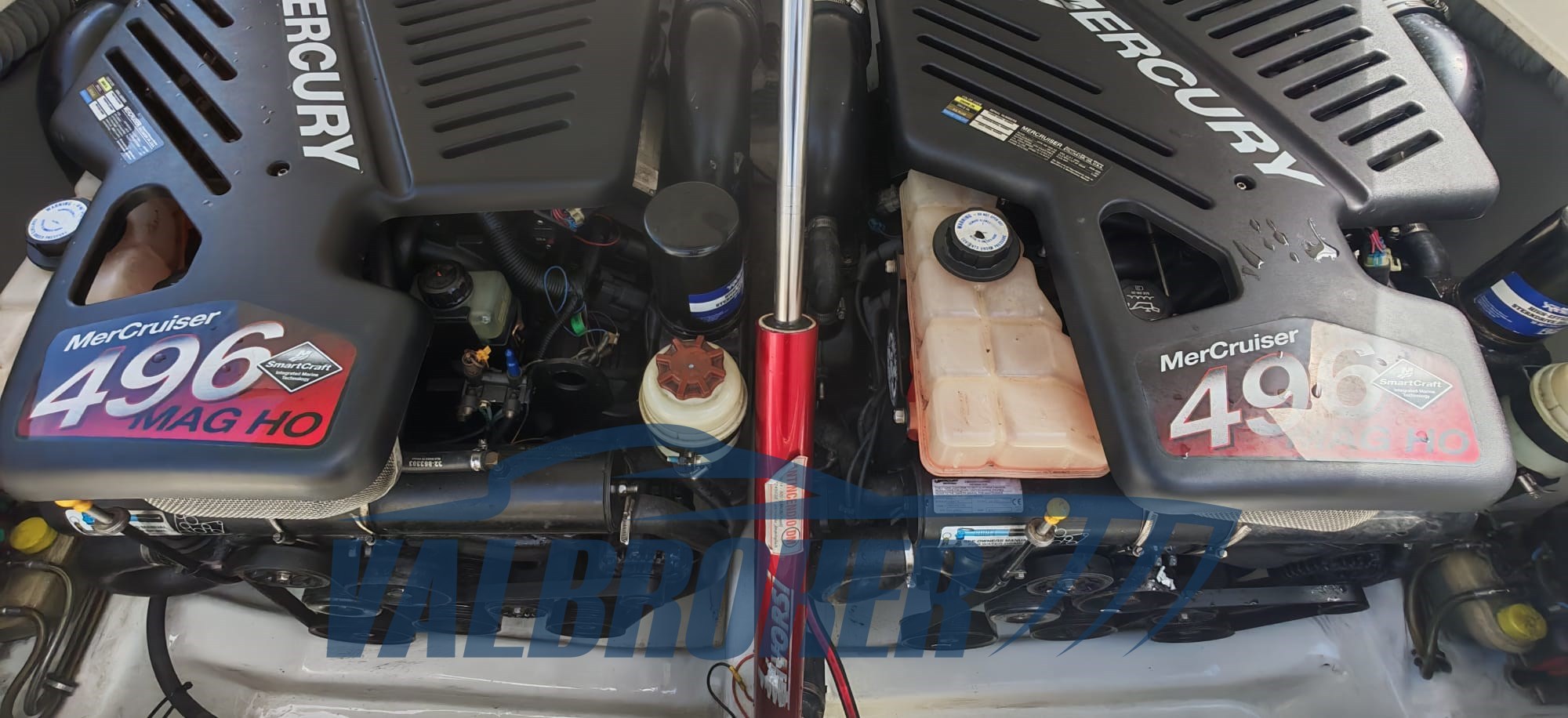 motori sonic 31 (6)