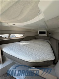 Silver raptor 2023 (6)