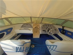 Sea Ray 190 (8)