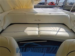 Sea Ray 190 (18)