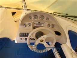 Sea Ray 190 (10)