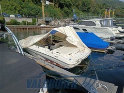Sea Ray 190 (3)