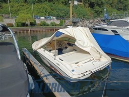 Sea Ray 190 (2)